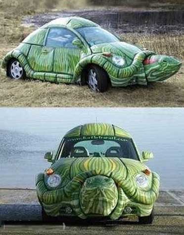 turtle car
